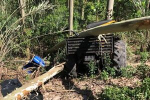 Trabalhador morre prensado por árvore durante corte em SC