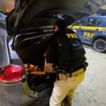 Após perseguição, jovem é apreendido com 300 Kg de maconha e carro roubado na BR-101