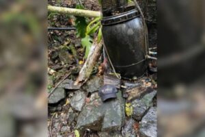 Morador de Botuverá atingido por árvore durante vendaval morre após duas semanas