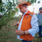 GRANIZO: Estado anuncia força-tarefa e investimentos para reconstrução e apoio ao agronegócio