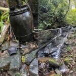 Morador de Botuverá sofre lesão grave após queda de tronco durante ventania