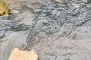 Água escura em ribeirão do Santa Luzia chama a atenção de ouvinte do Jornal da Manhã