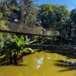 Festival de Música movimenta Parque Leopoldo Moritz no sábado (8/11)