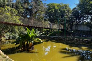 Festival de Música movimenta Parque Leopoldo Moritz no sábado (8/11)