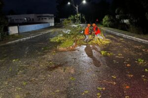 Defesa Civil confirma microexplosão em São João Batista neste sábado
