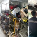 Pet shop é interditado em Brusque após fiscalização