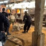 PF realiza incineração de entorpecentes e reforça combate ao narcotráfico em SC