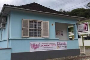Instituto Anjos do Peito realiza pedágio solidário