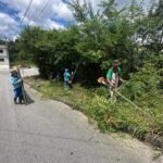 Trabalhos de roçada têm início nesta semana por diversos bairros de Brusque