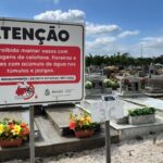 Brusque realiza Dia D de combate à dengue neste sábado (8)