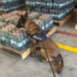 Droga diluída em refri: cocaína seria enviada da SC para Europa