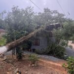 Defesa Civil atende 11 ocorrências após ventos de 80 km/h em Gaspar