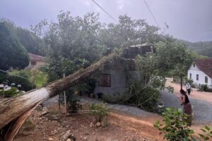 Defesa Civil atende 11 ocorrências após ventos de 80 km/h em Gaspar
