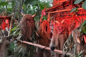 Programação da Pelznickelplatz inicia nesta sexta (12) em Guabiruba