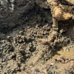 Após denúncia, Samae de Brusque constata furto de água em mecânica