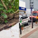 VÍDEO: Homem morre após ser esfaqueado na Praça Barão de Schneeburg, em Brusque