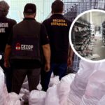 Megaoperação apreende R$ 1,5 milhão em roupas falsificadas em Brusque e Guabiruba