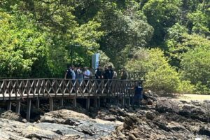 Homem morre eletrocutado ao tentar furtar fios no deck de Balneário Camboriú