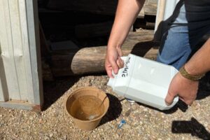 Brusque intensifica combate à dengue com ação em bairros da cidade