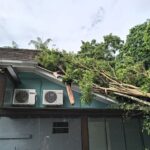 Temporal em Brusque causa 33 ocorrências e força decreto de emergência