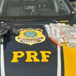 Vídeo: remédios para emagrecer e anabolizantes ilegais são apreendidos na BR-101 em Itajaí