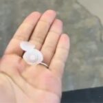VÍDEO: Chuva com granizo surpreende moradores em bairros de Brusque