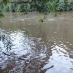 Adolescente de 13 anos morre afogado no Rio do Peixe, em SC