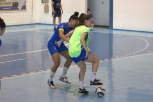 Barateiro Havan Futsal vai em busca do hexacampeonato catarinense