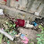 Corpo em avançado estado de decomposição é encontrado embaixo de ponte em Ilhota