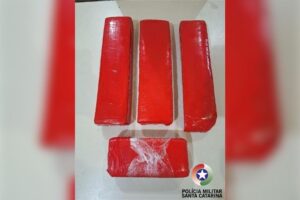 Cão policial encontra 3Kg de maconha em área de mata usada pelo tráfico