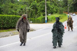 Confira as alterações no trânsito para a 2ª Corrida do Pelznickel