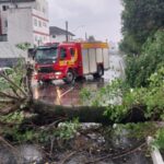 Temporal causa destelhamentos, quedas de árvores e alagamentos em Lages