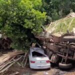 VÍDEO: Caminhão desgovernado despenca de ribanceira e mata motorista e pedestre em SC