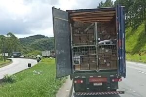Carreta da Havan tem carga furtada na rodovia Régis Bittencourt