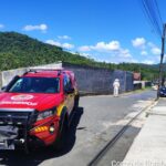 Ataque de abelhas deixa homem ferido no bairro Bateias, em Gaspar