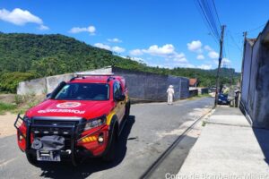 Ataque de abelhas deixa homem ferido no bairro Bateias, em Gaspar