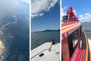 Força-tarefa mantém buscas por homens desaparecidos no litoral catarinense