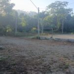 Loteamento na Limeira passa por serviços de limpeza