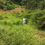 Carro cai em ribanceira e três pessoas são levadas ao hospital