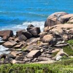 Homem morre afogado após cair de costão rochoso em Laguna, no Sul de SC