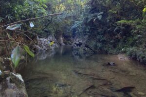ATUALIZAÇÃO: Bombeiros mantém buscas por pessoa desaparecida em cachoeira de Guabiruba