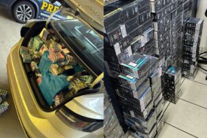 PRF intercepta carga ilegal de medicamentos e cigarros eletrônicos em SC