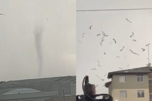 VÍDEO: Tornado provoca destelhamentos e assusta moradores de São José dos Pinhais (PR)