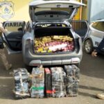 Mais de meia tonelada de maconha é interceptada após perseguição pela BR-280