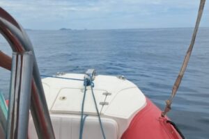 VÍDEO: Filho é salvo após naufrágio em São Francisco do Sul; pai está desaparecido