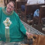 Fiel de quatro patas: cachorrinha encanta fiéis ao não perder nenhuma missa em SC