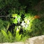 Mulher encontrada morta após horas desaparecida em Urussanga (SC)