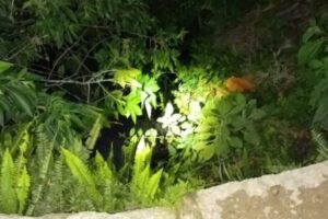 Mulher encontrada morta após horas desaparecida em Urussanga (SC)