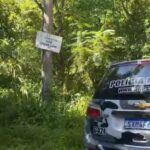Mistério em SC: quatro corpos são achados com sinais de tortura em estrada de Biguaçu