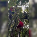 VÍDEO: Rajada de vento derruba parapente em Itajaí; homem fica preso em árvore